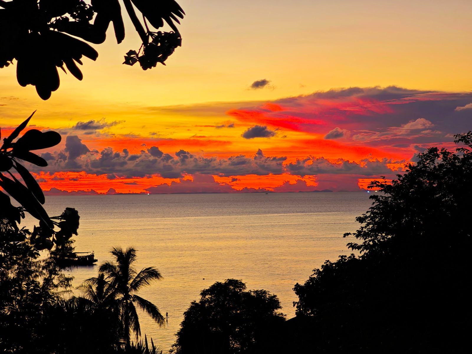 Coucher de soleil entre les palmiers