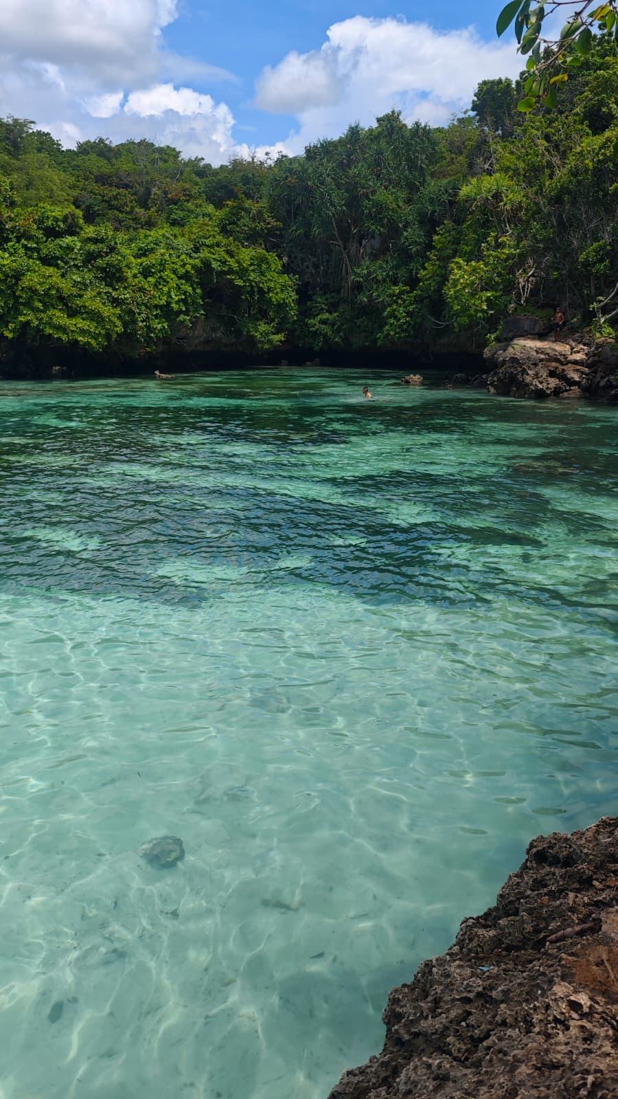 Lagon aux eaux claires entouré de végétation